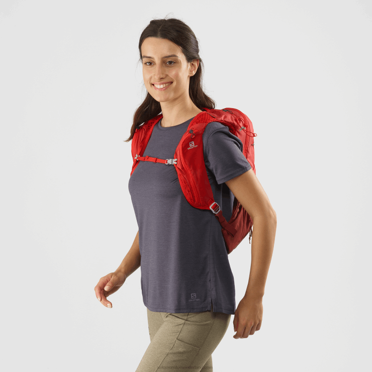 heren wandeltas - xt 10 Salomon 22DD81207 gojibes/meekrap bruin