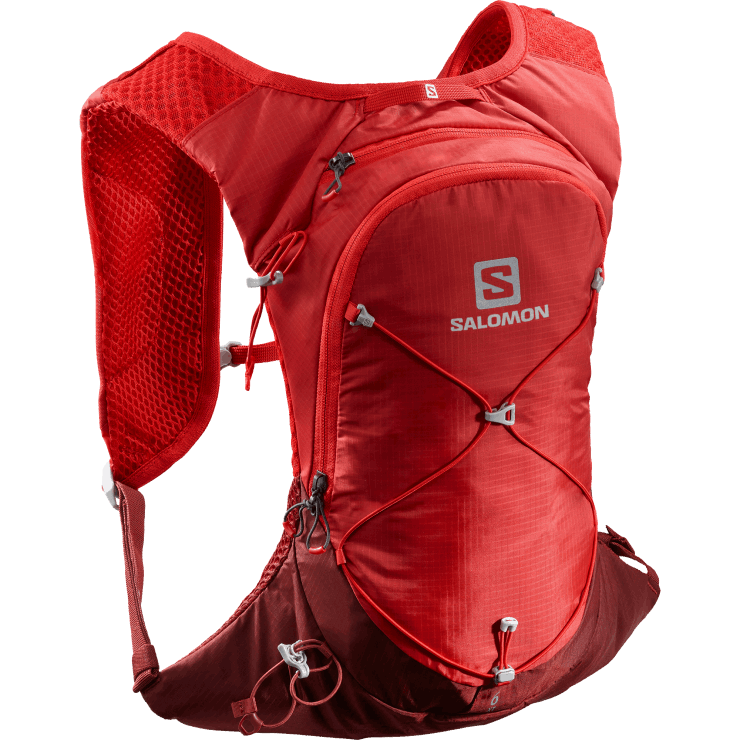 heren wandeltas - xt 6 Salomon 22DD8381 gojibes/meekrap bruin