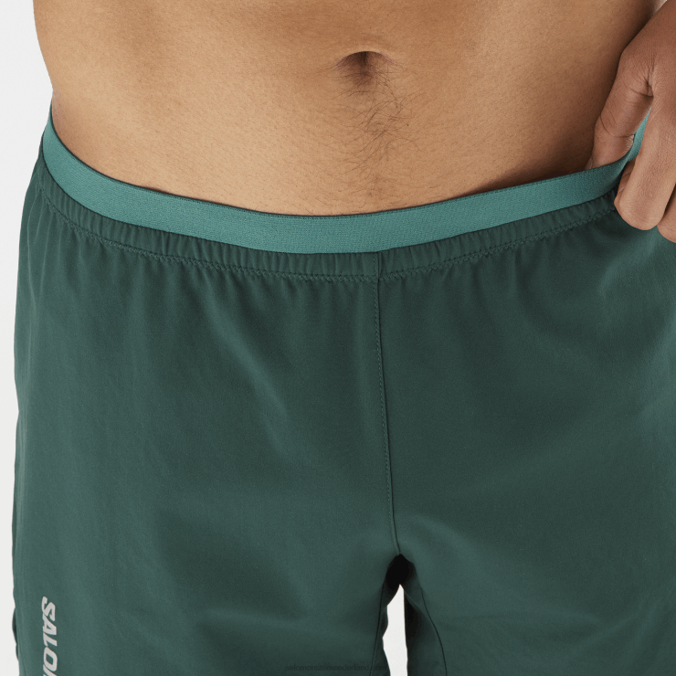 herenshorts - kruis 5 Salomon 22DD8274 ponderosa-den