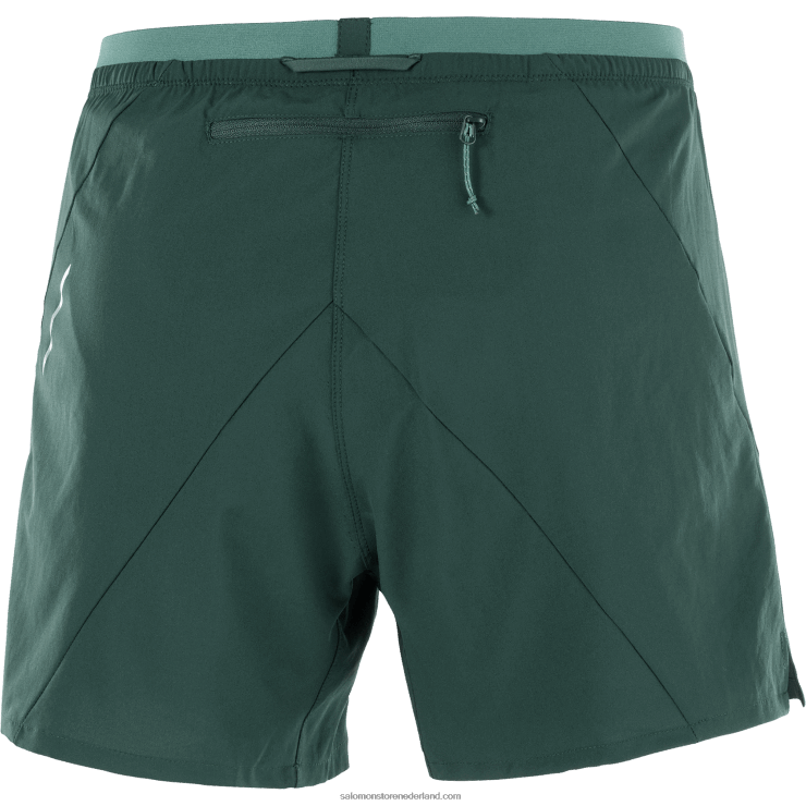 herenshorts - kruis 5 Salomon 22DD8274 ponderosa-den