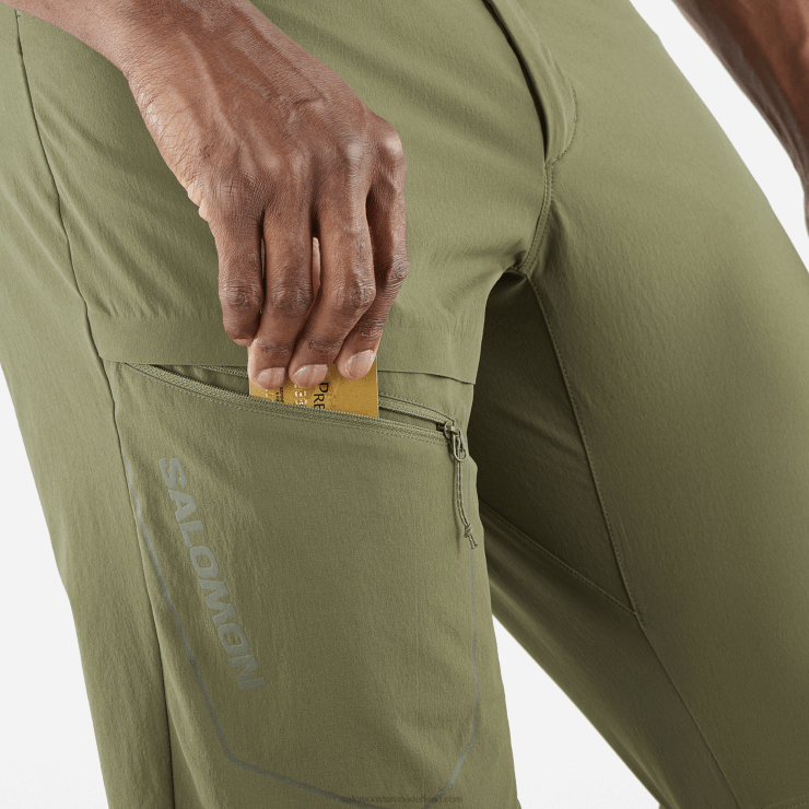 korte broek voor heren - wayfarer Salomon 22DD8299 druivenblad