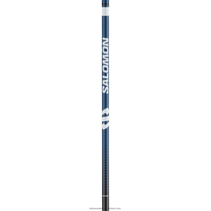 heren skate classic nordic poles - escape alu Salomon 22DD8727