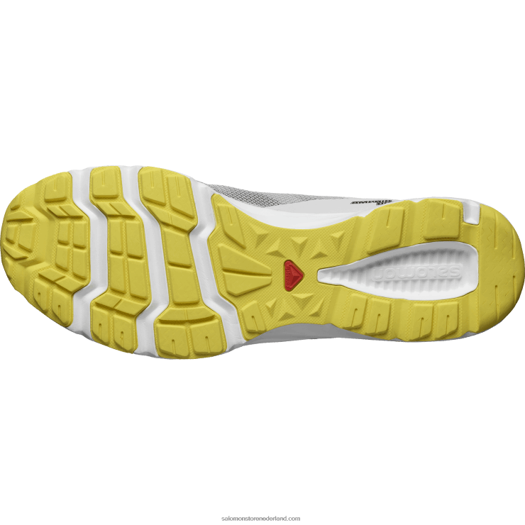 herensandalen - amphib bold 2 Salomon 22DD81081 maansteen/zwart/boterbloem