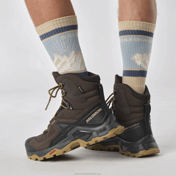 heren leren wandelschoenen - quest element gore-tex Salomon 22DD849 delicioso/zwart/dof goud