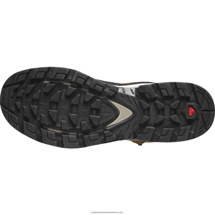 heren leren wandelschoenen - quest element gore-tex Salomon 22DD850 komijn/gebleekt zand/saffraan