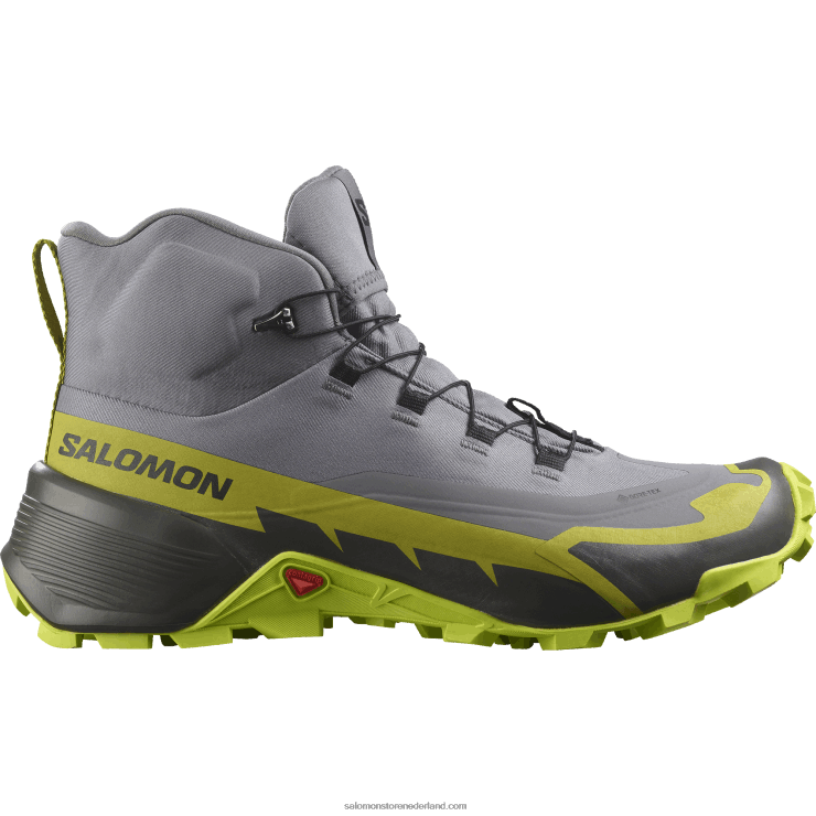 heren wandelschoenen - cross hike 2 mid gore-tex Salomon 22DD835 rustige schaduw/zure limoen/gouden limoen