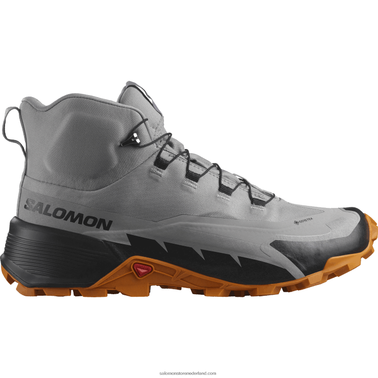 heren wandelschoenen - cross hike 2 mid gore-tex Salomon 22DD837 meeuw/marmelade/zwart