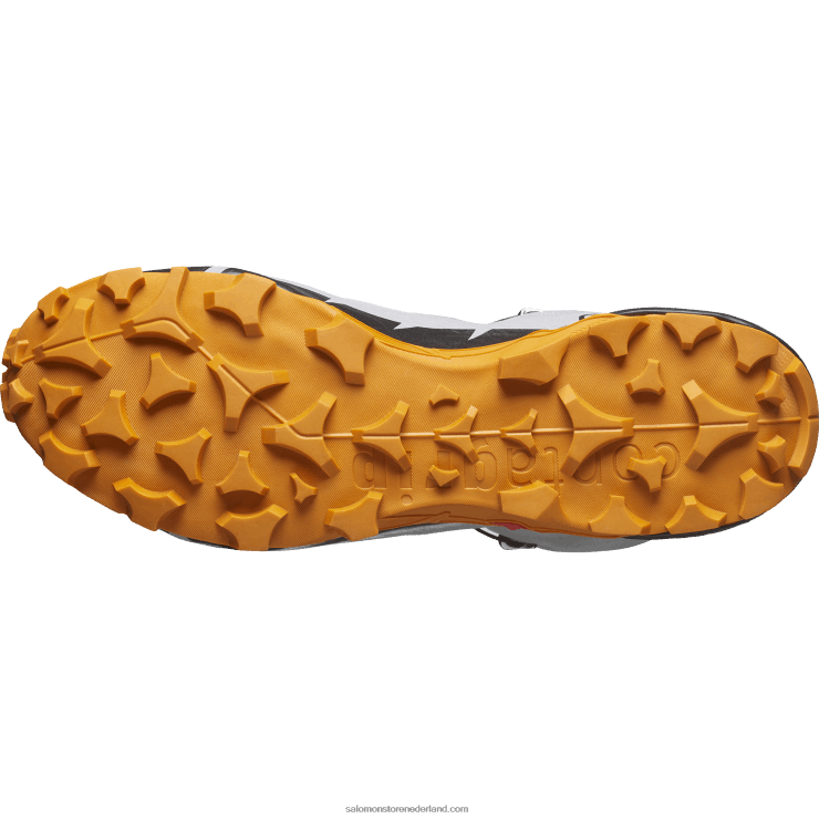 heren wandelschoenen - cross hike 2 mid gore-tex Salomon 22DD837 meeuw/marmelade/zwart