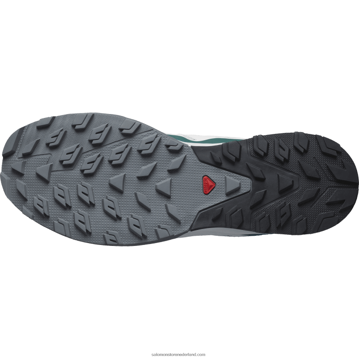 heren wandelschoenen - outrise Salomon 22DD823 maansteen/zwart/algiersblauw