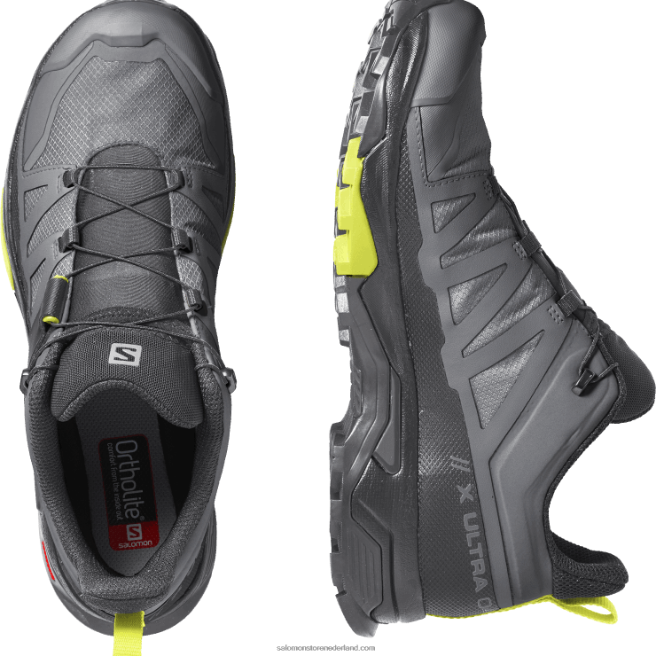 heren wandelschoenen - x ultra 4 gore-tex Salomon 22DD814 rustige tint/zwart/teunisbloem