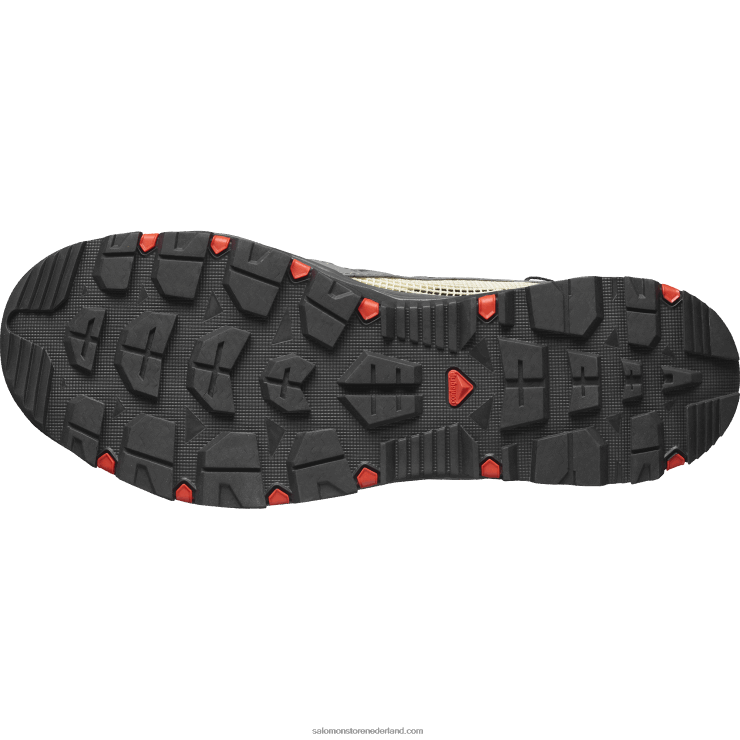 heren waterschoenen - techamphibian 5 Salomon 22DD83 tin/mot/vurig rood