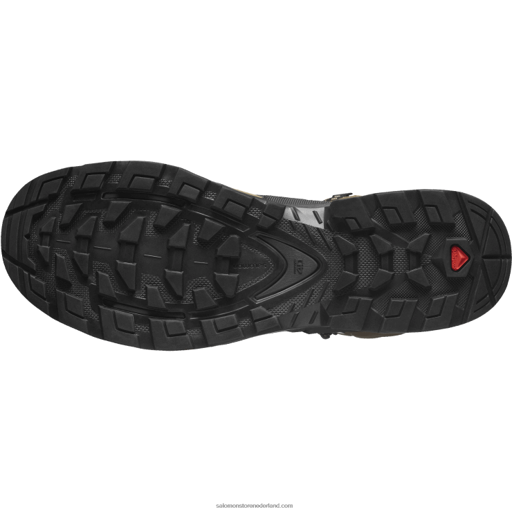 leren wandelschoenen voor heren - quest 4 gore-tex Salomon 22DD86 woestijnpalm/zwart/kelp