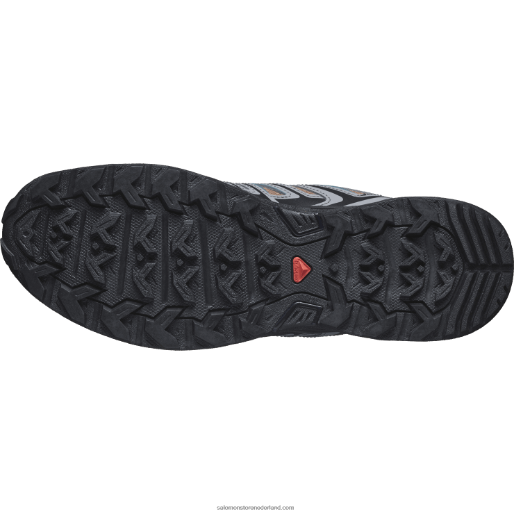 wandelschoenen voor heren - x ultra pioneer aero Salomon 22DD820 toffee/stille tint/wilde eend blauw