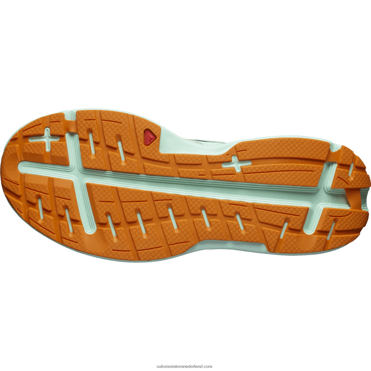 hardloopschoenen voor heren - aero glide Salomon 22DD81066 gebleekt zand/yucca/oranje peper
