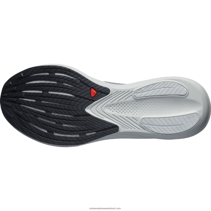 hardloopschoenen voor heren - fantasma Salomon 22DD81074 legering/maansteen/poppy rood