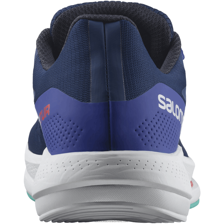 hardloopschoenen voor heren - spectur Salomon 22DD81076 landgoedblauw/oogverblindend blauw/mintblad