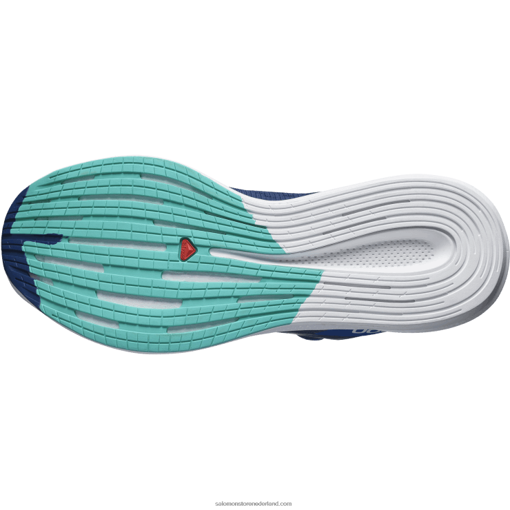 hardloopschoenen voor heren - spectur Salomon 22DD81076 landgoedblauw/oogverblindend blauw/mintblad