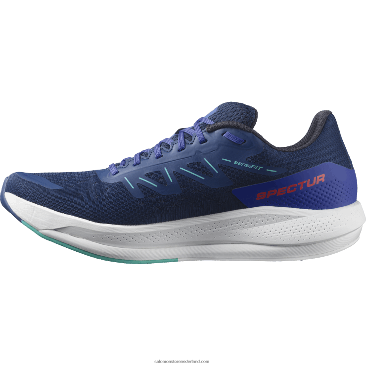 hardloopschoenen voor heren - spectur Salomon 22DD81076 landgoedblauw/oogverblindend blauw/mintblad