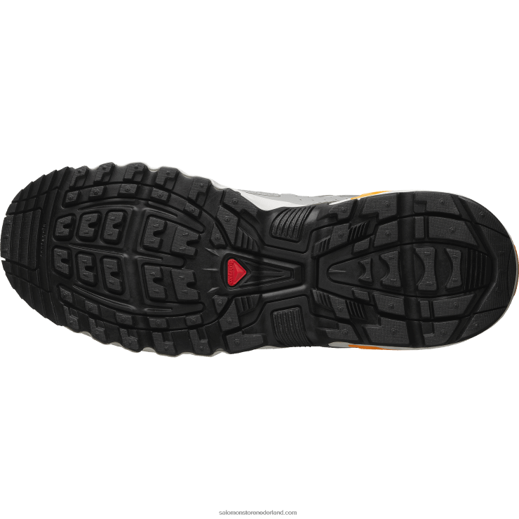 sportschoenen voor heren - acs + Salomon 22DD8145 maansteen/tin/kurkuma