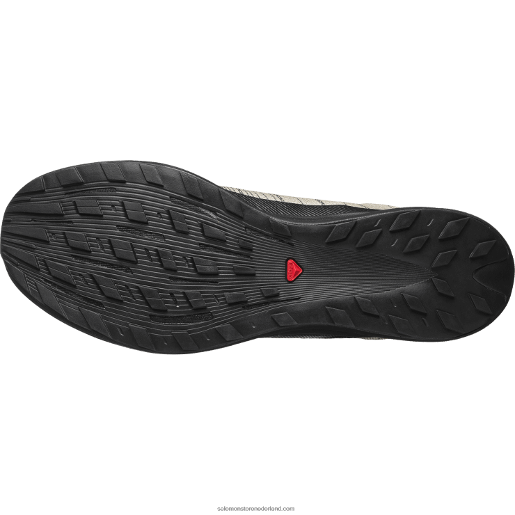 sportschoenen voor heren - pulsar advanced Salomon 22DD8139 zwart/tin