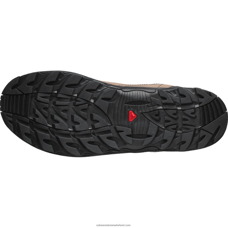 sportschoenen voor heren - raid wind 75th Salomon 22DD8161 gouden eik/eikel/zwart