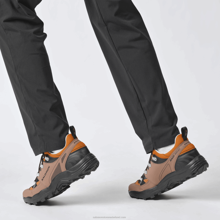 sportschoenen voor heren - raid wind 75th Salomon 22DD8161 gouden eik/eikel/zwart