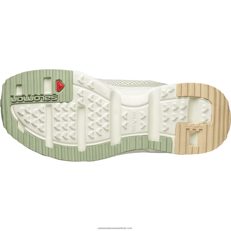 sportschoenen voor heren - rx moc cottage core Salomon 22DD8150 vanille-ijs/woestijnsalie/hazelnoot
