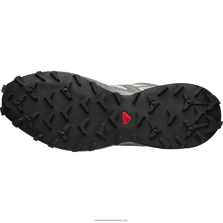 sportschoenen voor heren - speedcross 3 Salomon 22DD8180 maansteen/tin/lelieblad