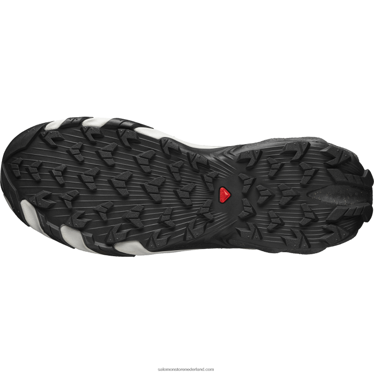 sportschoenen voor heren - speedverse prg Salomon 22DD8114 zilver/vorstgrijs/maansteen