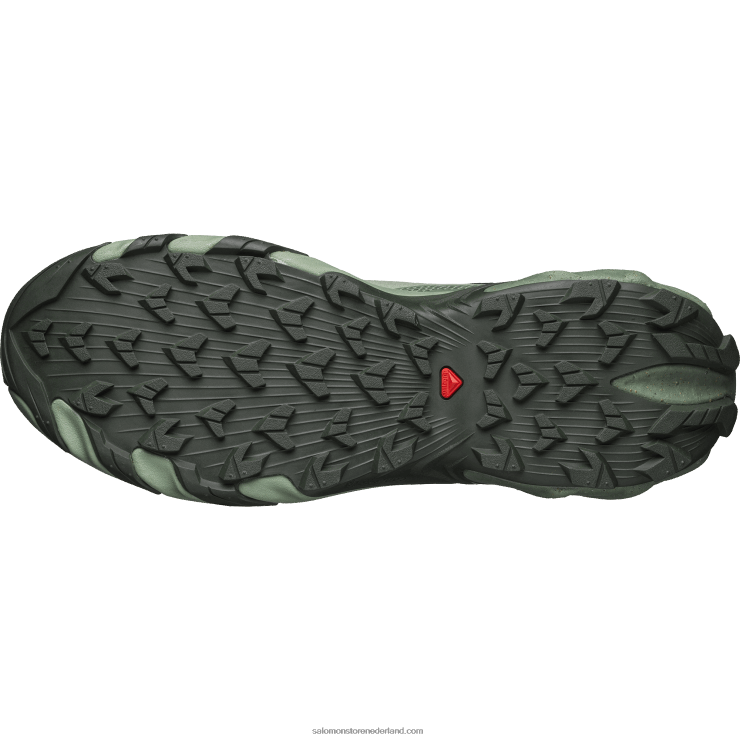 sportschoenen voor heren - speedverse prg Salomon 22DD8115 diep bos/laurierkrans/lelieblad