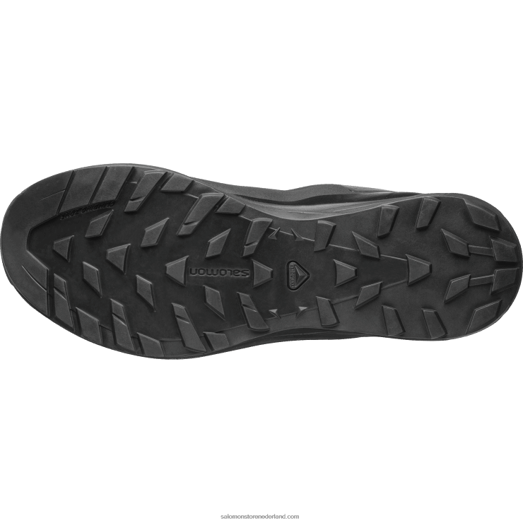 sportschoenen voor heren - xa alpine 2 advanced Salomon 22DD8200 zwart/magneet