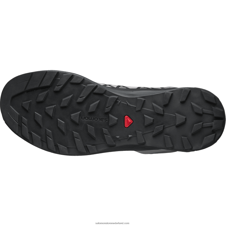 sportschoenen voor heren - xa alpine 2 advanced Salomon 22DD8201 meeuw/fantoom/arctisch ijs