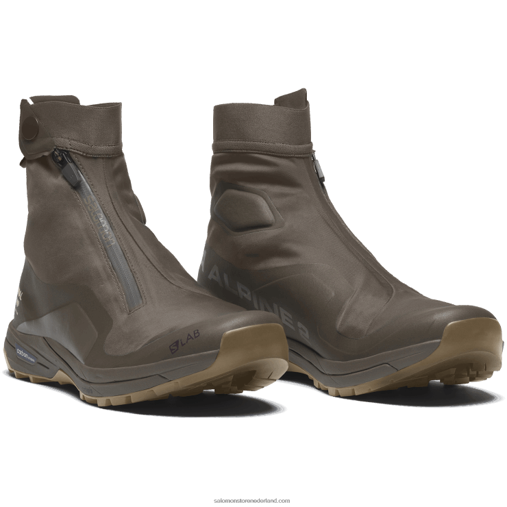 sportschoenen voor heren - xa-alpine 2 voor niet-normale studio's Salomon 22DD8136 turf/groot bruin/meeuw