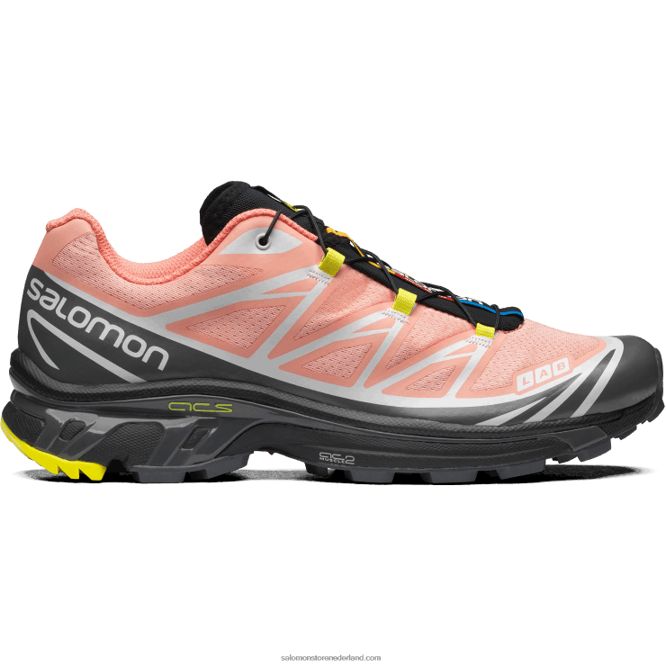 sportschoenen voor heren - xt-6 Salomon 22DD872 bloeiende dahlia/monument/zwart