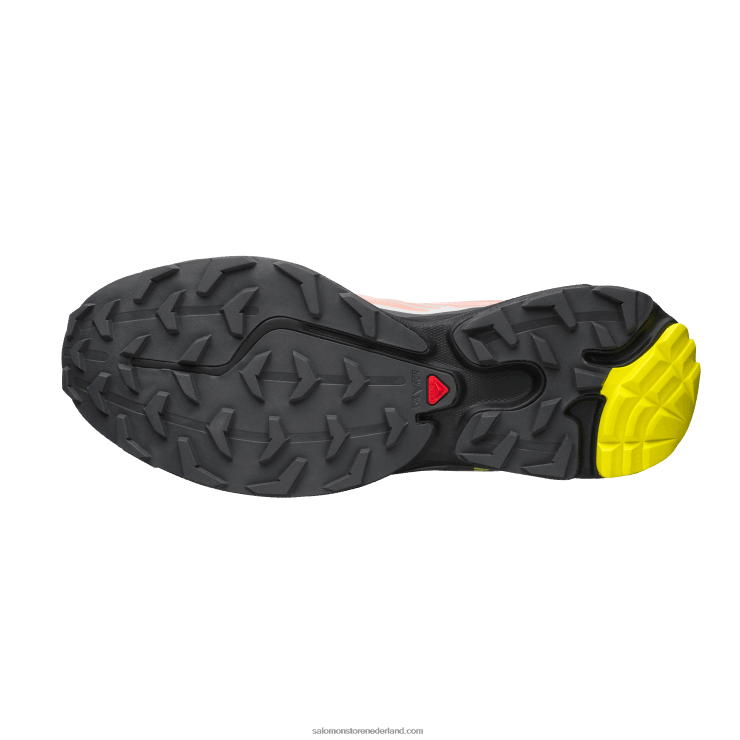 sportschoenen voor heren - xt-6 Salomon 22DD872 bloeiende dahlia/monument/zwart