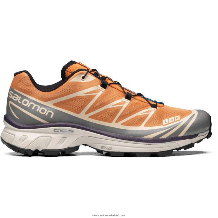 sportschoenen voor heren - xt-6 Salomon 22DD873 abrikoos bleekgeel/vorstgrijs/fluwelen ochtend