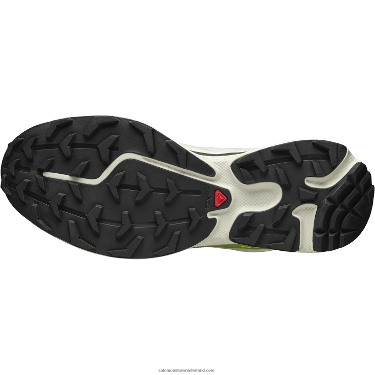 sportschoenen voor heren - xt-6 Salomon 22DD884 maansteen/magneet/epsom