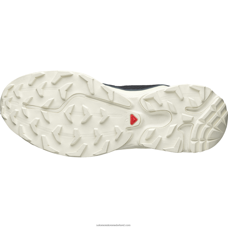 sportschoenen voor heren - xt-6 ft Salomon 22DD889 donker saffier/vanille-ijs/stormachtig weer