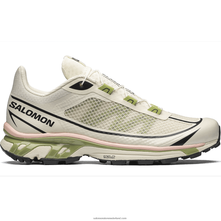 sportschoenen voor heren - xt-6 ft Salomon 22DD890 regenachtige dag/epsom/perzik beige