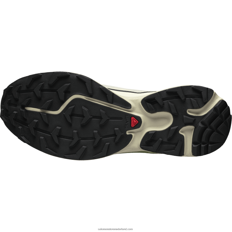 sportschoenen voor heren - xt-6 ft Salomon 22DD890 regenachtige dag/epsom/perzik beige