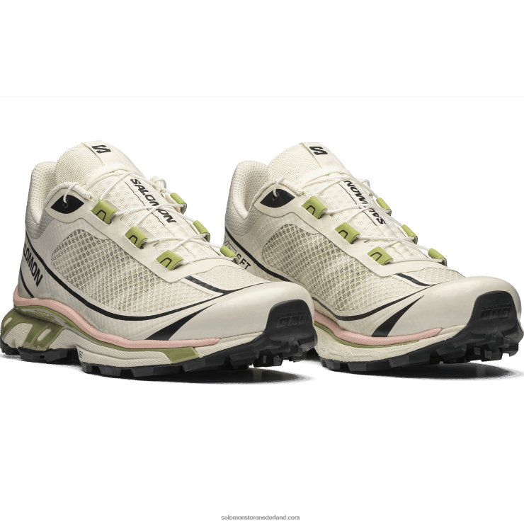 sportschoenen voor heren - xt-6 ft Salomon 22DD890 regenachtige dag/epsom/perzik beige