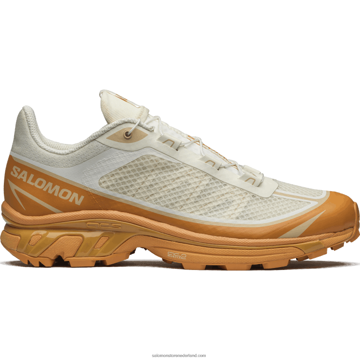 sportschoenen voor heren - xt-6 ft Salomon 22DD891 vanille-ijs/daim/hazelnoot