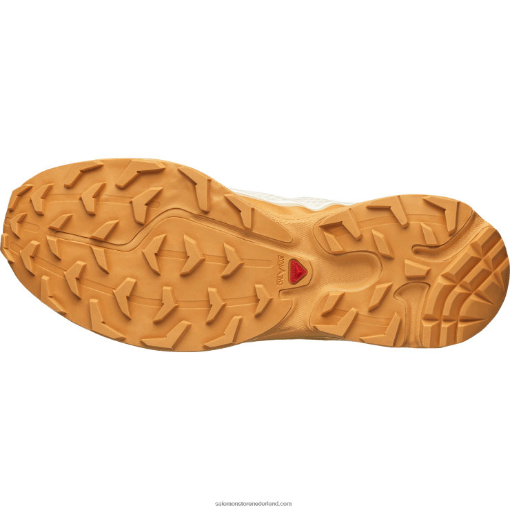 sportschoenen voor heren - xt-6 ft Salomon 22DD891 vanille-ijs/daim/hazelnoot