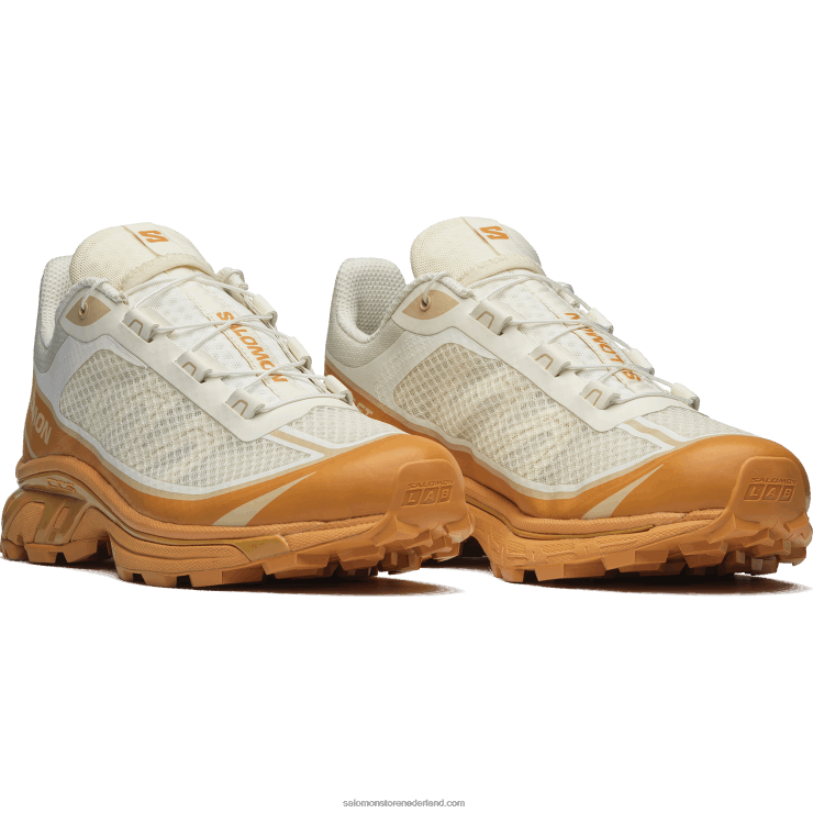 sportschoenen voor heren - xt-6 ft Salomon 22DD891 vanille-ijs/daim/hazelnoot