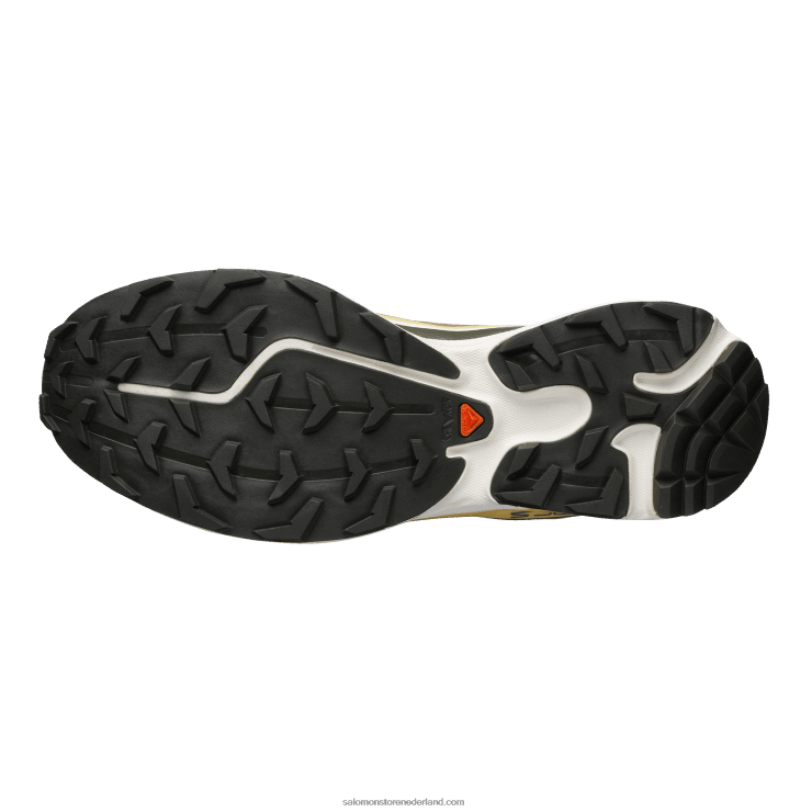 sportschoenen voor heren - xt-6 ft Salomon 22DD893 kelp/prei groen/herfstblad