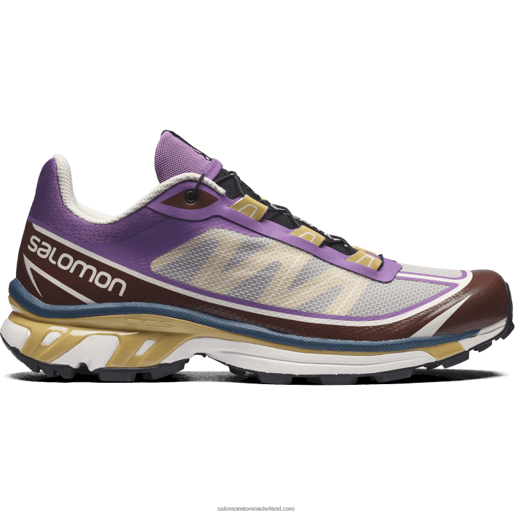 sportschoenen voor heren - xt-6 ft Salomon 22DD896 koningssering/chocoladefondant/herfstblad