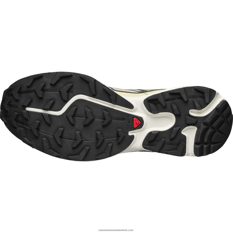 sportschoenen voor heren - xt-6 mindful Salomon 22DD8138 mot/vanille-ijs/granada lucht
