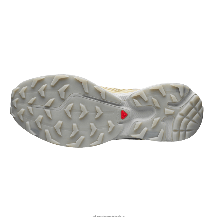 sportschoenen voor heren - xt-6 transparant Salomon 22DD8121 safari/magneet/vanille-ijs