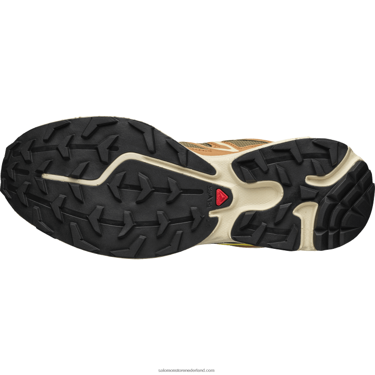 sportschoenen voor heren - xt-6 uitgestrektheid Salomon 22DD8100 cathay specerij/hagedis/boterbloem