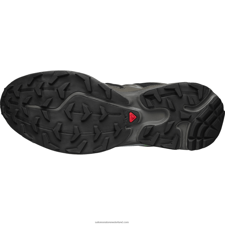 sportschoenen voor heren - xt-6 uitgestrektheid Salomon 22DD898 beluga/veen/zomergroen